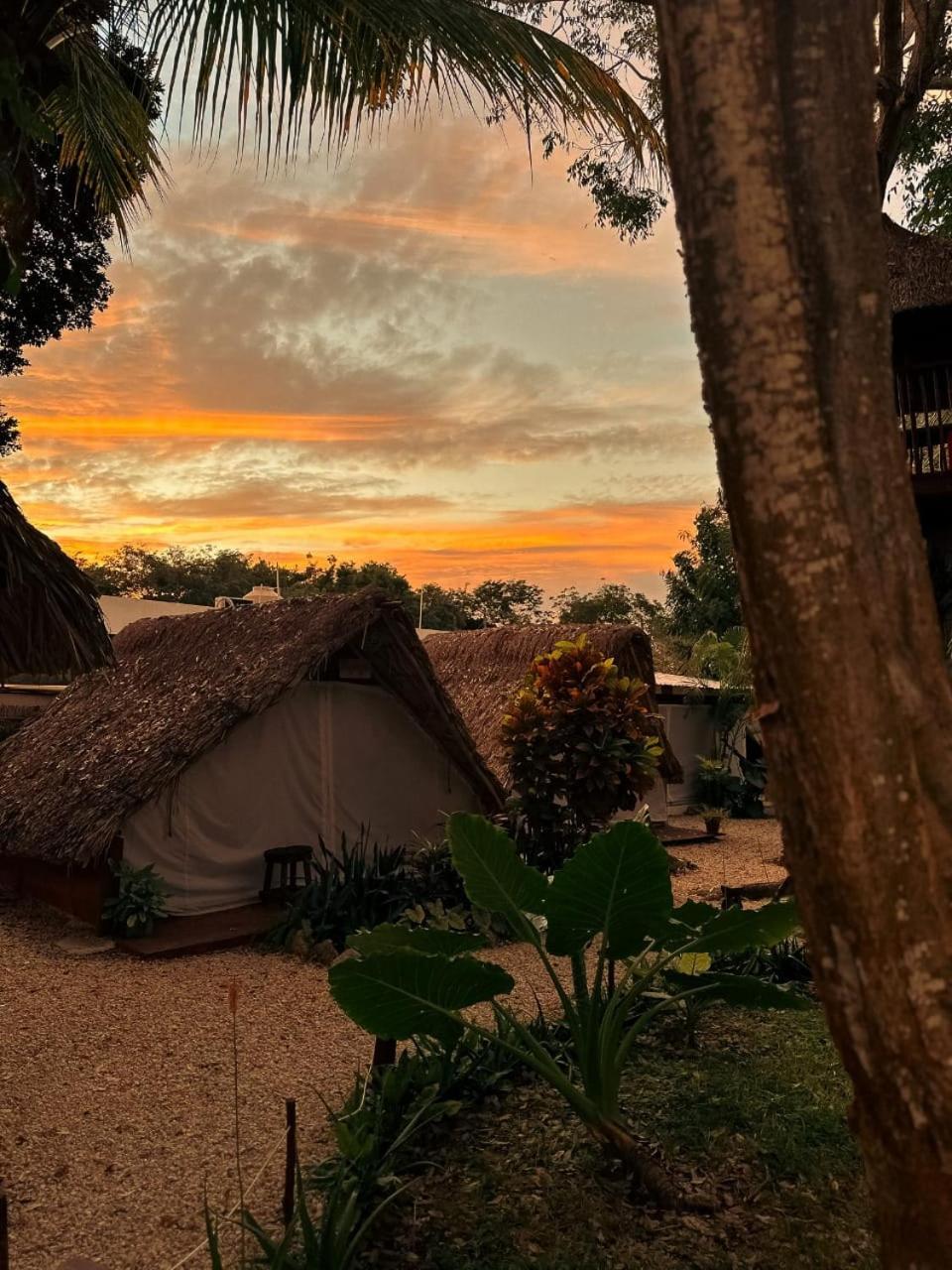 El Buho Bacalar Eco-Cabanas Hostal Екстериор снимка