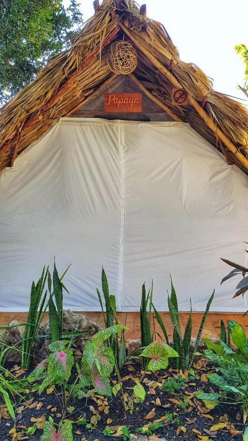 El Buho Bacalar Eco-Cabanas Hostal Екстериор снимка